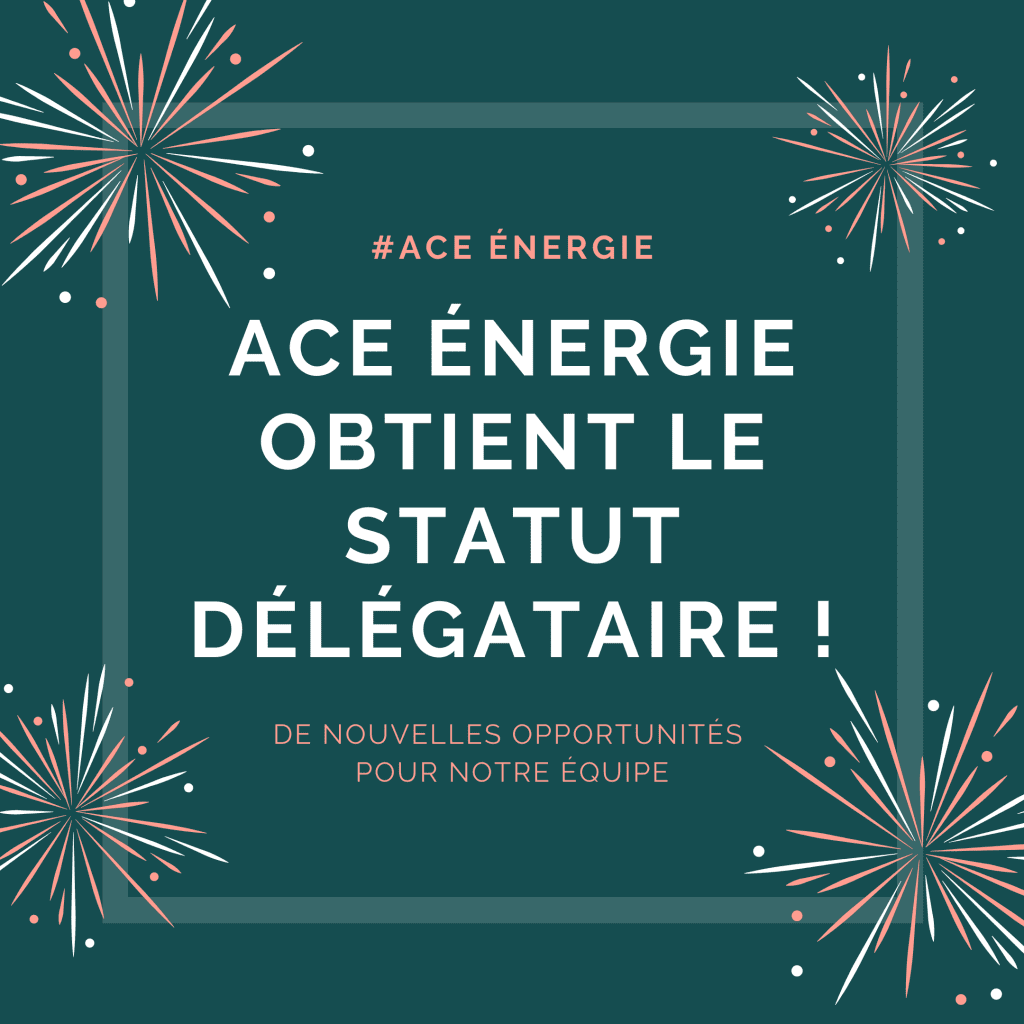 descriptif ACE délégation
